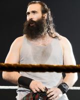 Luke Harper