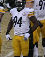 Lawrence Timmons