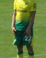 Teemu Pukki